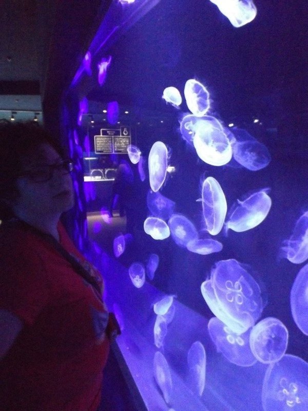 Jakieś metne te meduzy i słabo je widzę.
