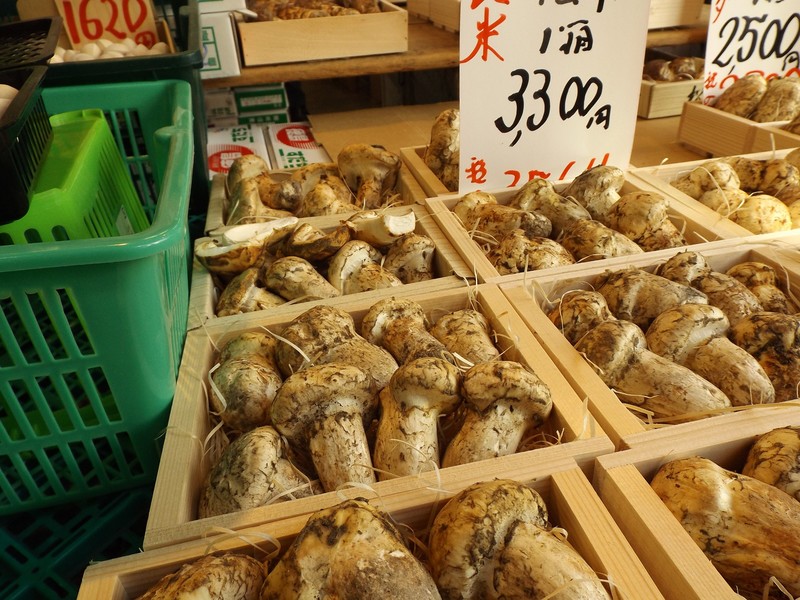 Tsukiji Market