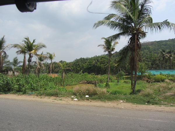 Drive to Coimbatore