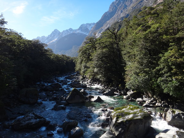 Drive to Milford Sounds