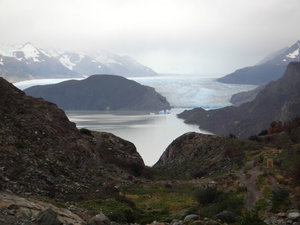 Grey Glacier hike