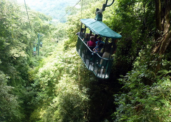 Gondola at Rain Forest