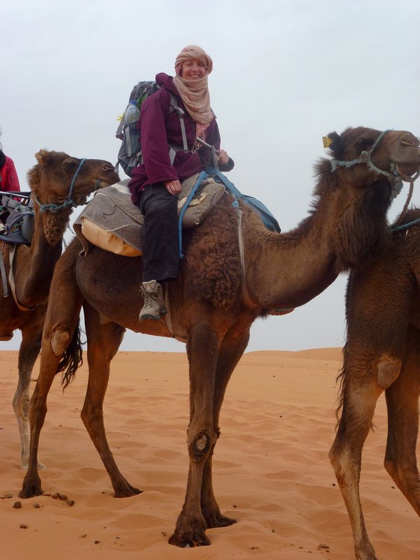 Camel trekking!