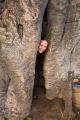 Inside a baobab tree!