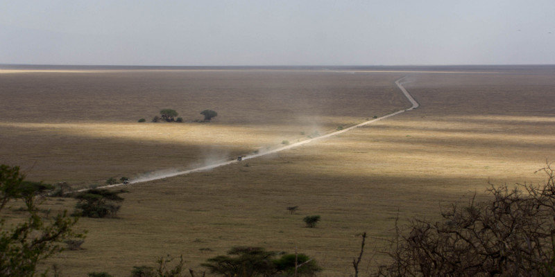 Road into the Serengeti