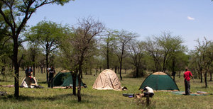 Campsite in the Serengeti