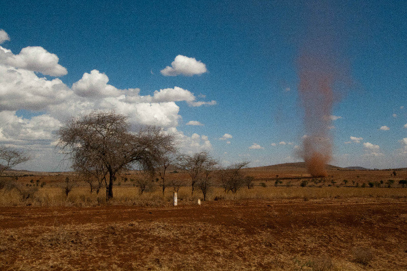 Dust devils en route to Amboseli