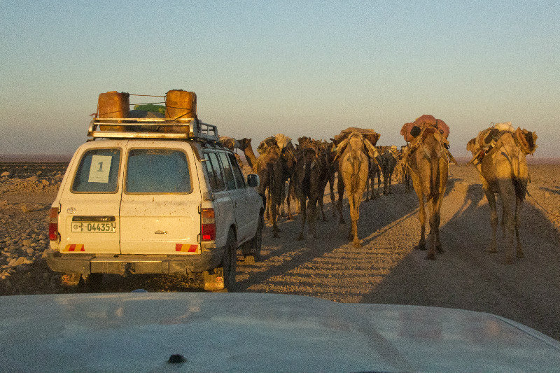 Rush hour, middle of nowhere style