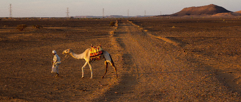 Why did the camel cross the road?