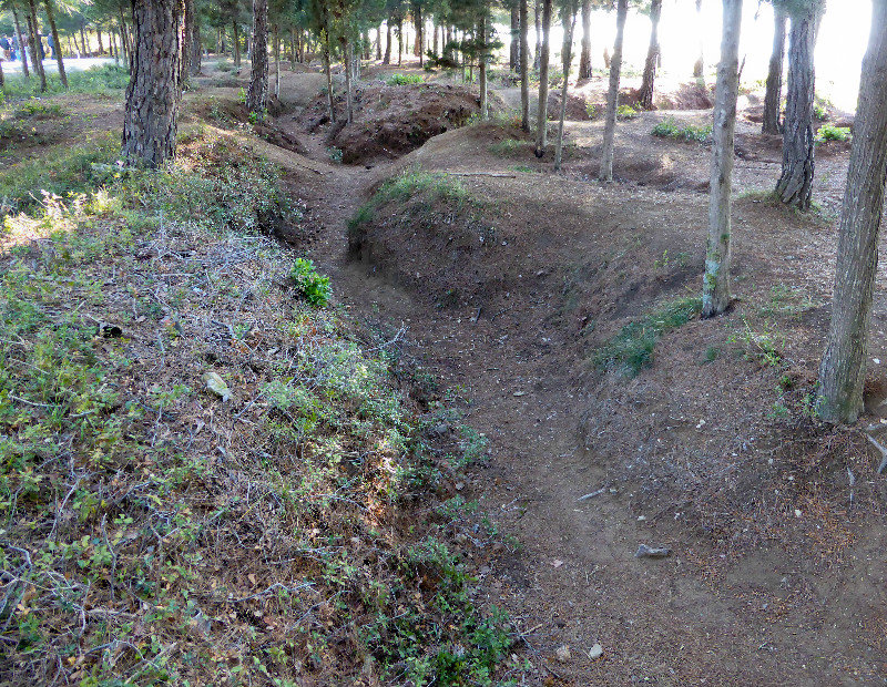 Actual trenches, still visible