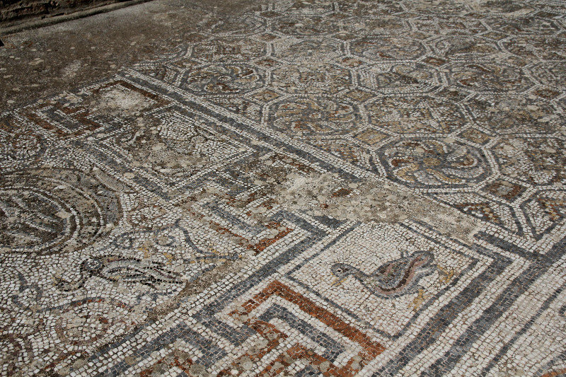 Beautifully preserved mosaic tile floors