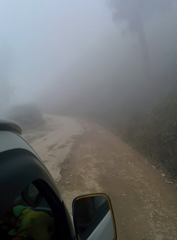 Fog in the mountains en route back to Dili