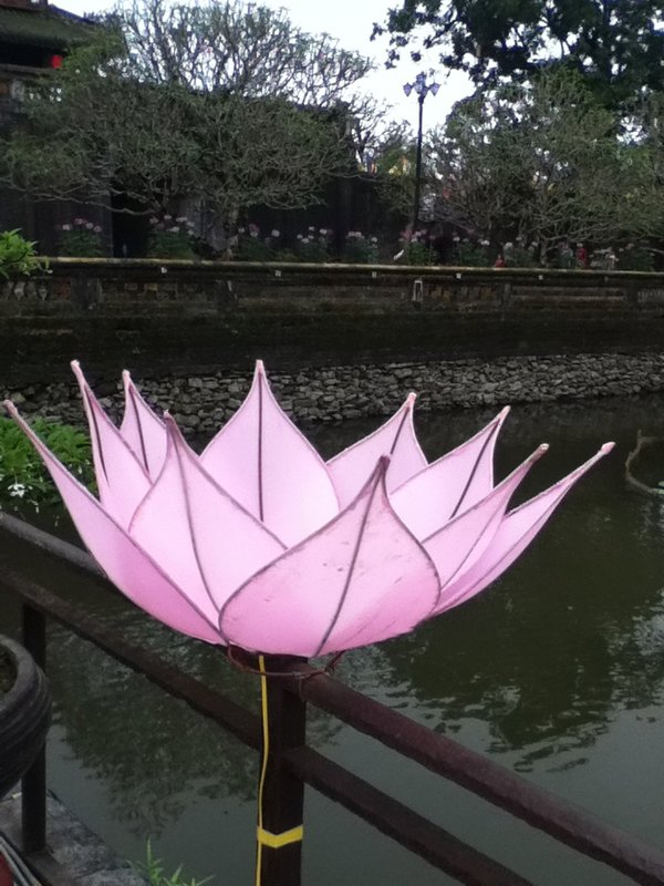 Big Fake Lotus