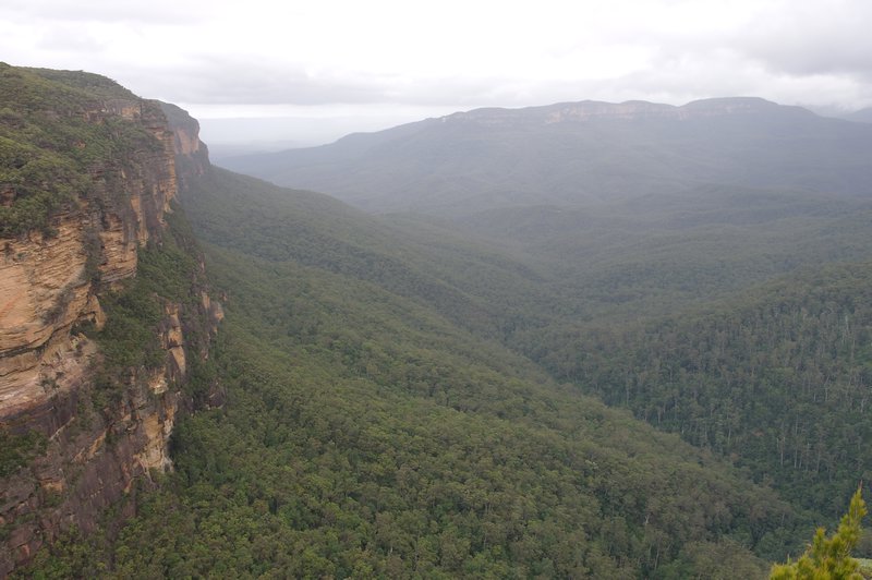 Wentworth Falls Blue Mountains (2)