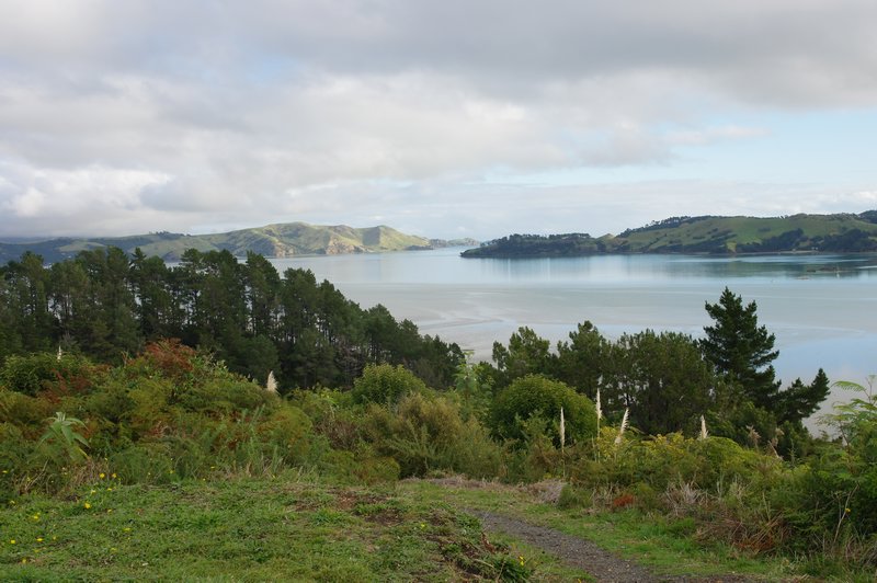 View of from Pa Lookout Coromandel Town (4)