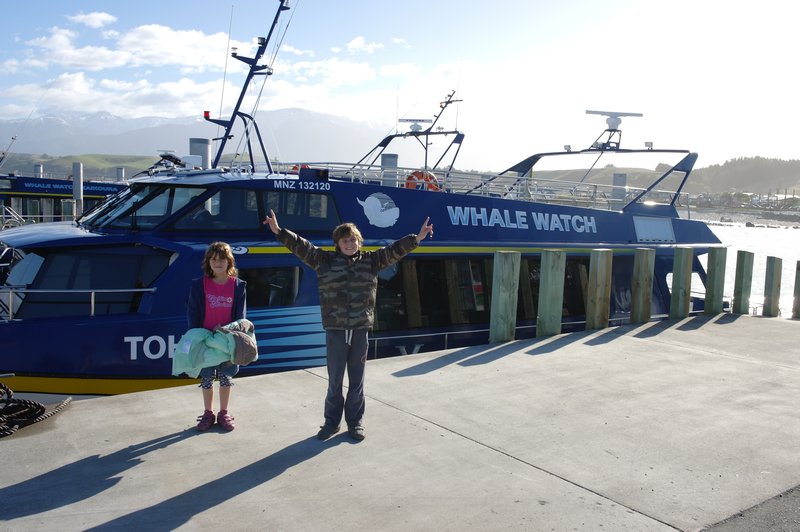 All aboard the whale watching boat