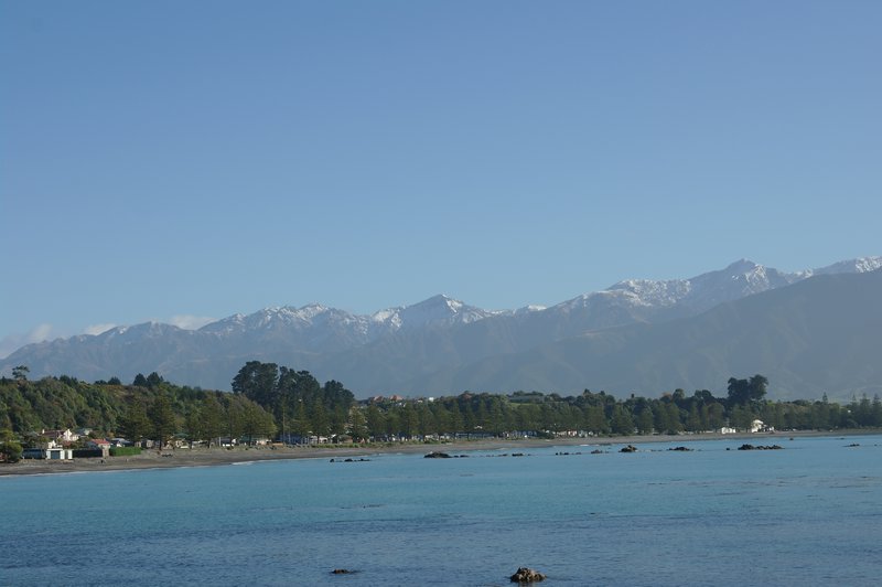 Kaikoura Bay (2)