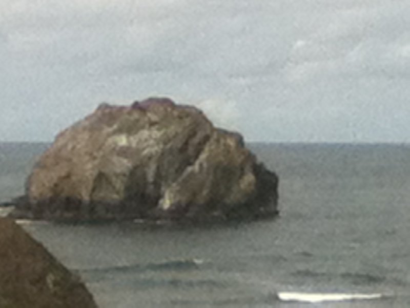 Face Rock Beach Bandon (1)