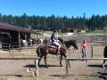 Horse riding  (7)