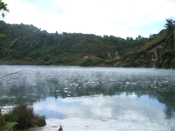 Waimangu Thermal Reserve