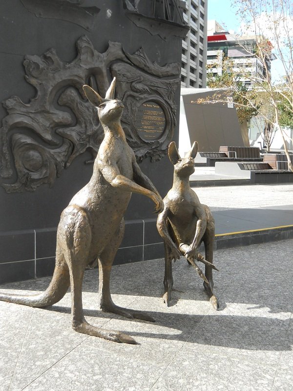 Kangaroo Sculpture, Brisbane