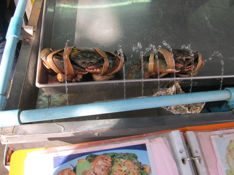 some unlucky crabs