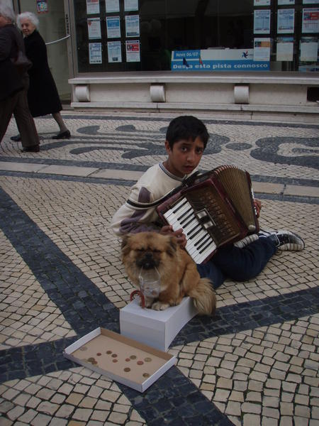 How to beg in Lisbon 101