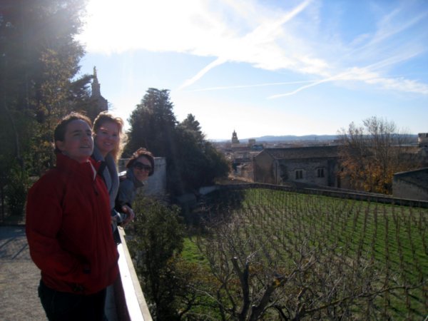 Avignon vineyards views