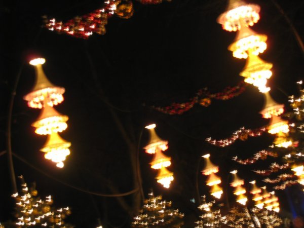 Pollyanna lanterns 