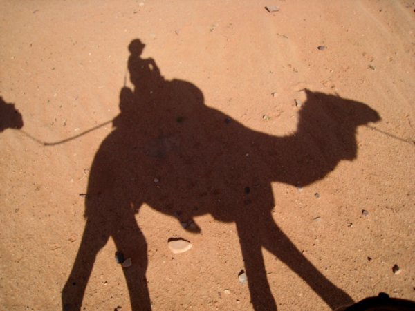 That's me on the camel
