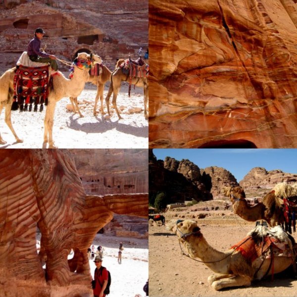 Petra - cool rocks and camels