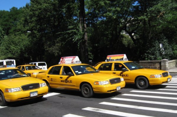 NY Yellow cabs