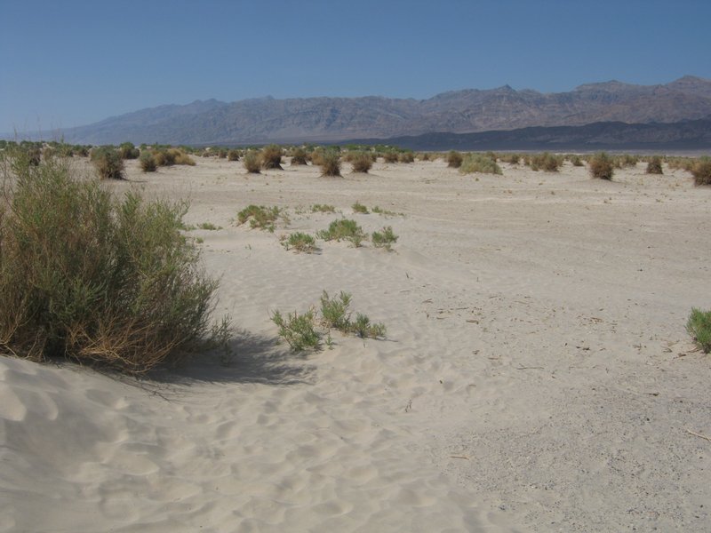 014 - Day 11 - Death Valley