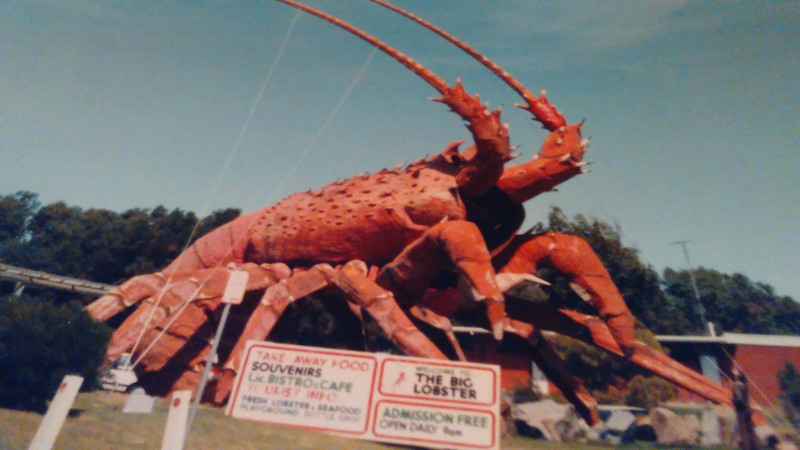 "Larry the Big Lobster".