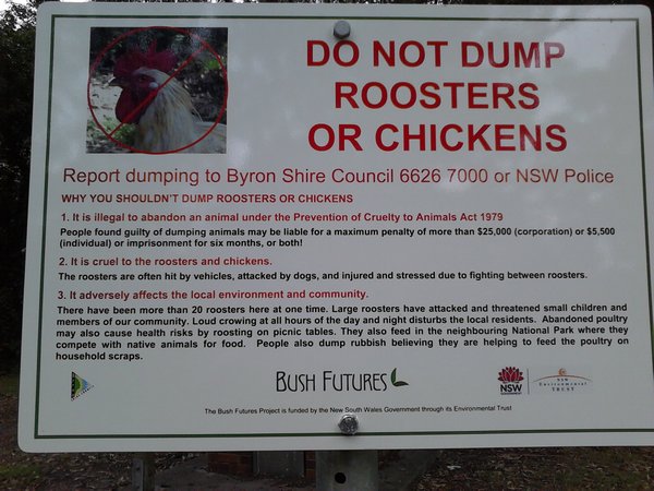 no dump roosters