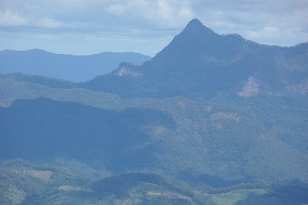 Mount Warning from Springbrook