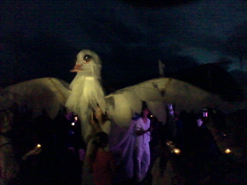 Peace dove, night festival