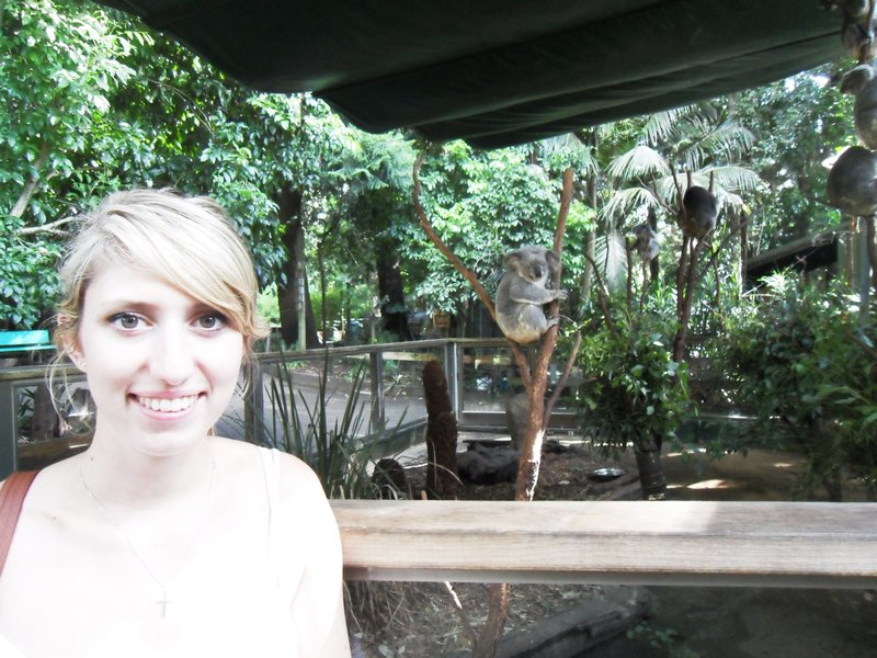 Me and the koalas