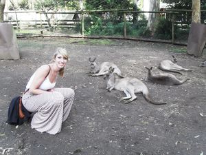 Me and the kangaroos