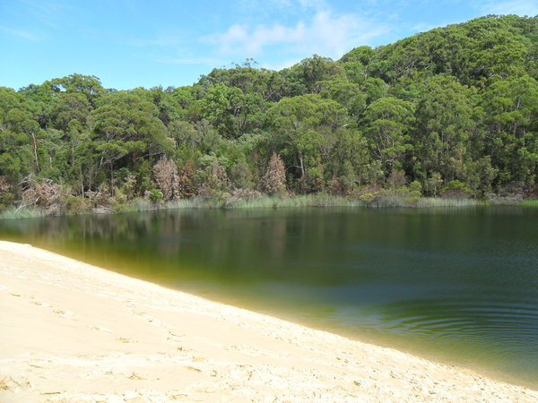 Lake Waby, a freshwater lake
