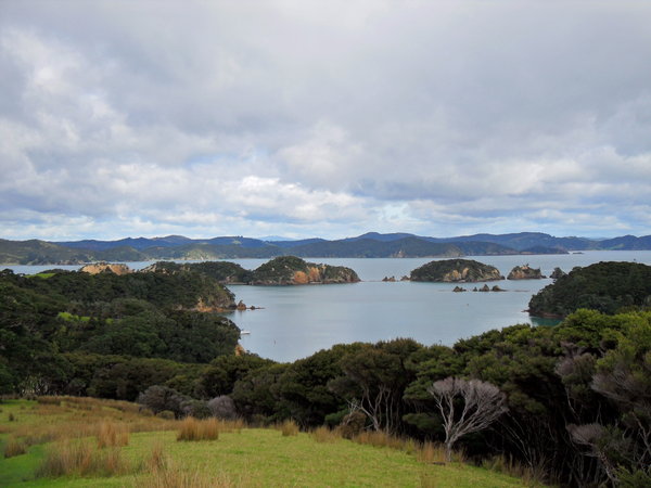 View of the Bay of Islands
