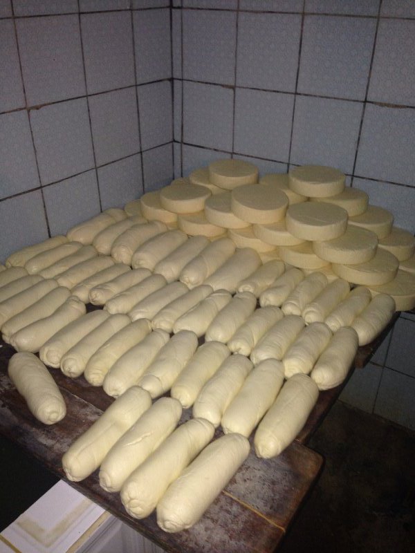 Mozzarella at the cheese factory