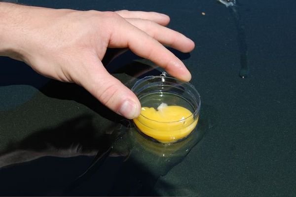 Handy Egg Ring Made From Water Bottle