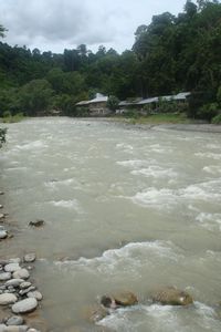 The river Sungai Bohorok