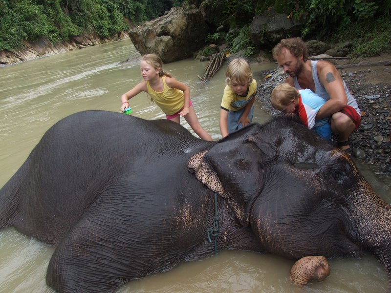 washing the elephant