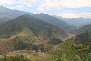 Reisterrassen in den Cordilleras