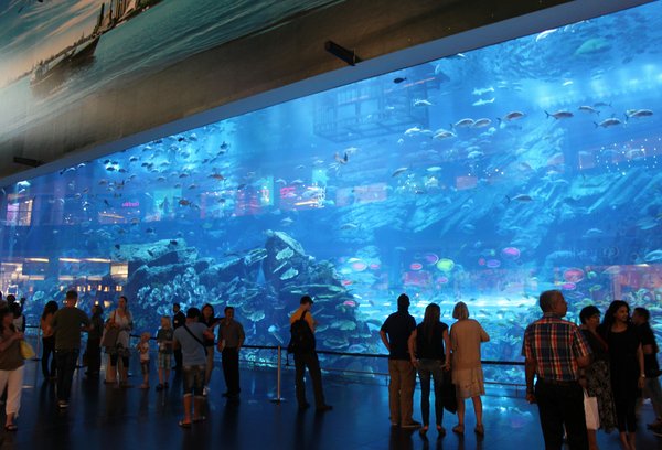 Aquarium inside Dubai mall