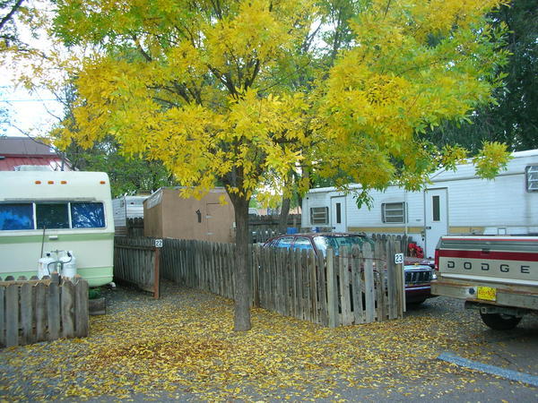 Fall colors arriving at the ol' RV park