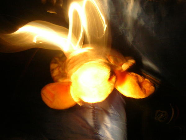 Turtle on fire