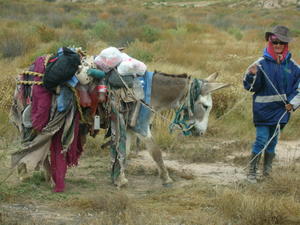 Traveling woman and her burro